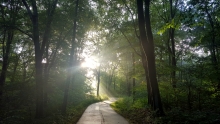 Photo along the Great-Little TRail in the Medlar Conservation Area. Photo by Greg Smith, used with permission.